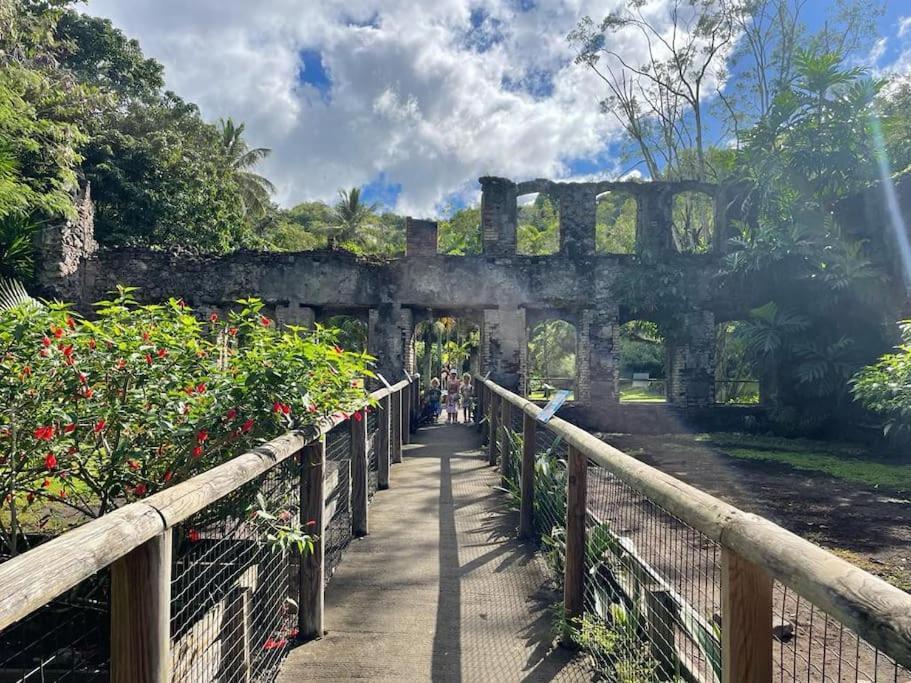 Maison De Vacances Beliosea Martinique 14 Rue D'Anjou サン・ピエール エクステリア 写真