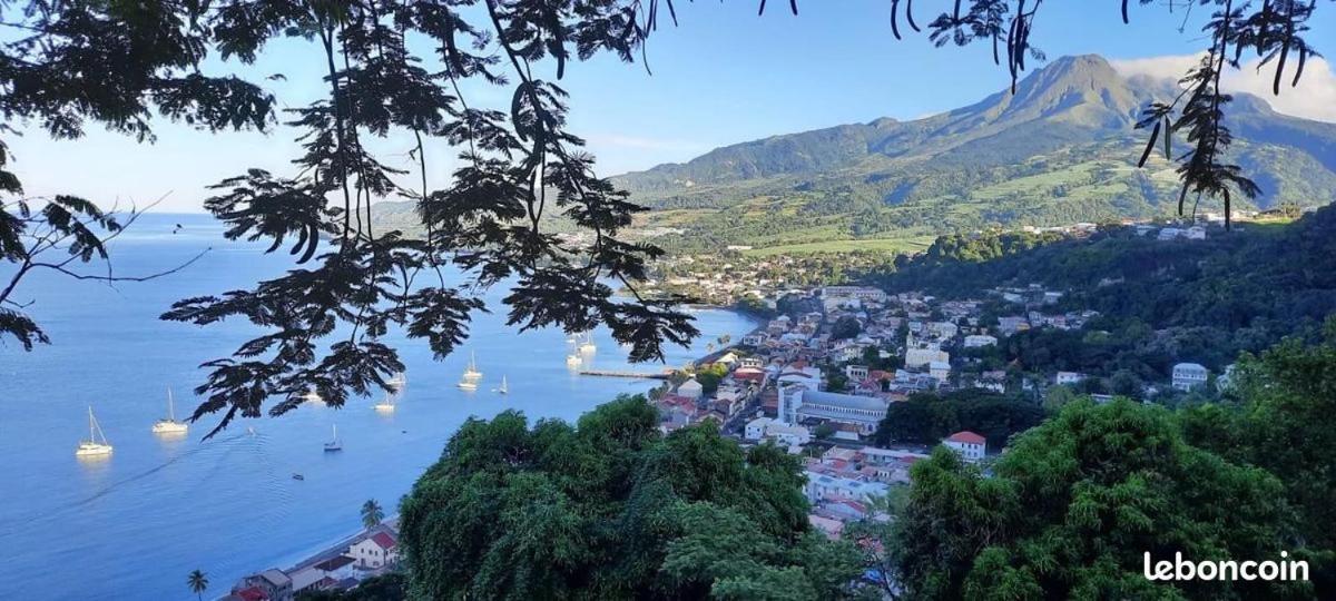 Maison De Vacances Beliosea Martinique 14 Rue D'Anjou サン・ピエール エクステリア 写真