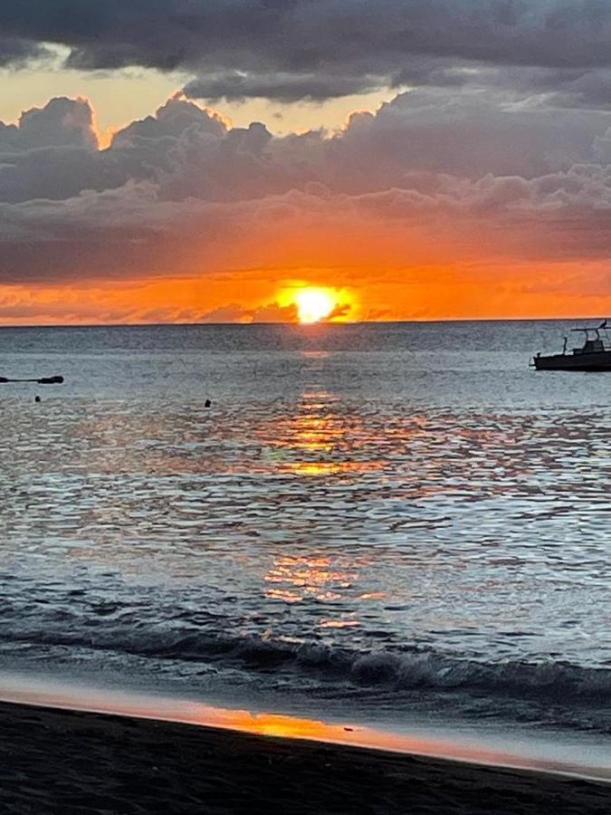 Maison De Vacances Beliosea Martinique 14 Rue D'Anjou サン・ピエール エクステリア 写真